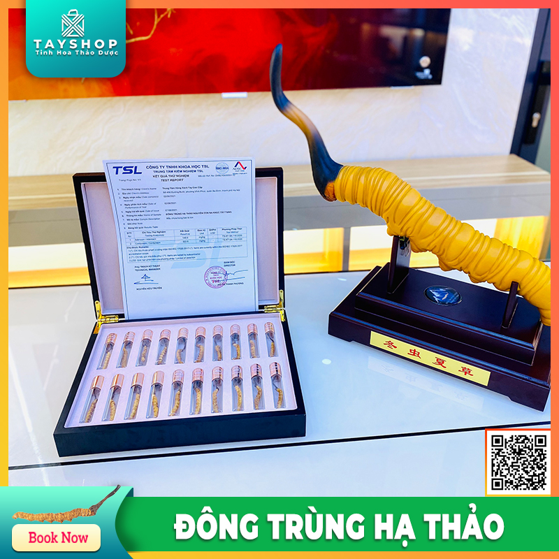 đông trùng hạ thảo